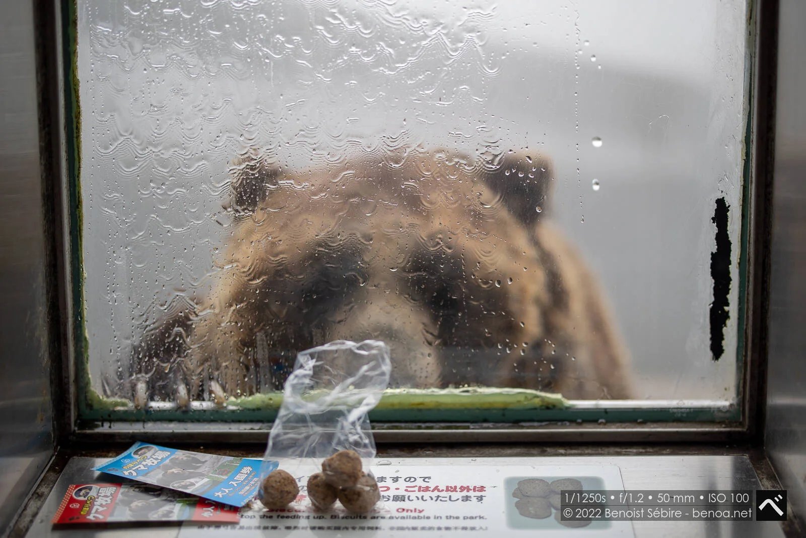 🏞️ 노보리베츠 곰 목장 (노보리베츠 쿠마보쿠조)